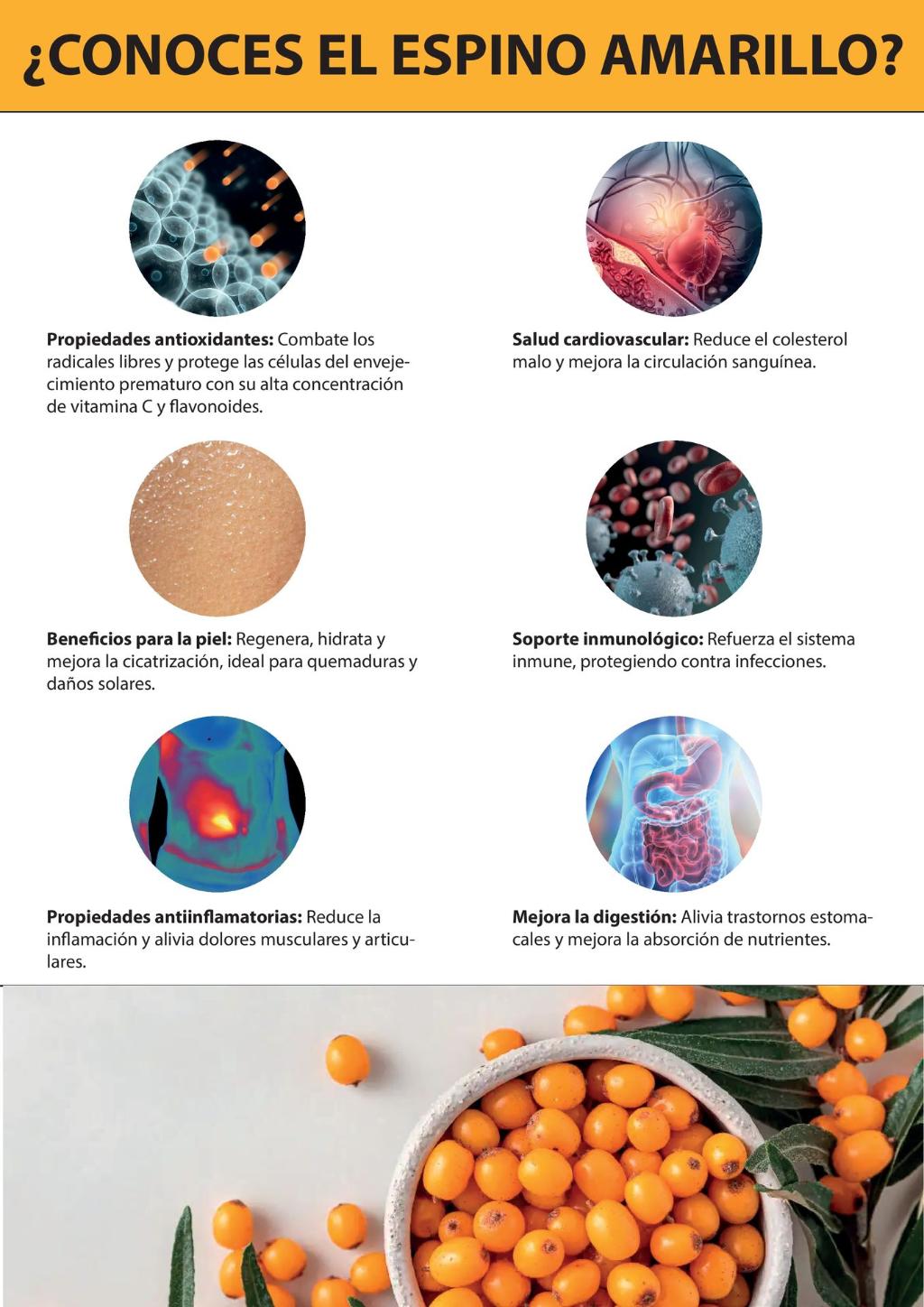 Perlas de aceite de Espino Amarillo Antiinflamatorio de la piel y de las mucosas, anti edad, humectante, antioxidante, analgésico y potenciador del sistema inmunológico   Presentación y composición de las perlas de aceite de Espino Amarillo Envase de 110 perlas de 692mg. Contiene: Aceite de Espino Amarillo 500mg. Cobertura de glicerina y gelatina. Propiedades de las perlas de aceite de Espino Amarillo Las bayas del Espino Amarillo son una excelente fuente nutricional, ya que es rico en vitamina A, B2 y C (más que en otras frutas y vegetales como la zanahoria o la naranja) y contiene niveles considerables de vitaminas B1 y K.  Además, es una excelente fuente de vitamina E y carotenoides. Es rico en elementos minerales, sobre todo hierro y potasio. También tiene concentraciones importantes de ácidos grasos insaturados que son aprovechados en el área de cosmética y terapéutica.  Destaca su alto contenido en Omega 7, ácido graso monoinsaturado que ayuda a disminuir diferentes afecciones causadas por enfermedades en la piel y las mucosas, así como mantener estos tejidos nutridos y con una óptima estructura.  Los beneficios del Espino Amarillo son:  Acción antiinflamatoria en la piel y las mucosas, mejora los síntomas de varias afecciones de la piel, como dermatitis, eczema y psoriasis, además de disminuir la inflamación vaginal, del cuello del útero y vulva. Acción anti edad, hidrata, nutre, repara y protege los tejidos del cutis. Acción humectante, reparadora, lubricante, hidratante y protectora de las mucosas (combate el escozor que se produce en la mucosa vaginal debido a la menopausia u otras causas, además de reducir el síndrome de la boca seca). Antioxidante, protege frente a los radicales libres, nutriente (evita la sequedad brindando ácidos grasos) Analgésico suave, actúa sobre el dolor causado por las afecciones de la piel y en las mucosas. Potencia el sistema inmunológico, ayuda a fortalecer las defensas. Además, su uso es recomendado para curar las enfermedades crónicas de la piel, para suavizar los efectos del acné y para proteger la piel de los efectos que puede provocar la luz solar, el viento y el aire seco.