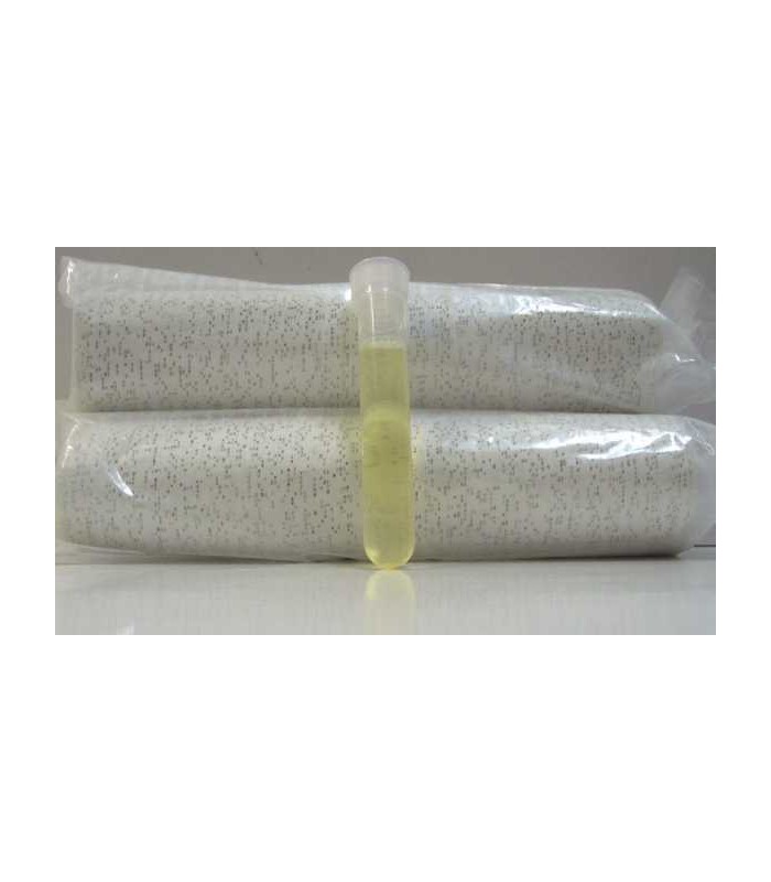 vendas-yeso-terapia-20-cm.jpg