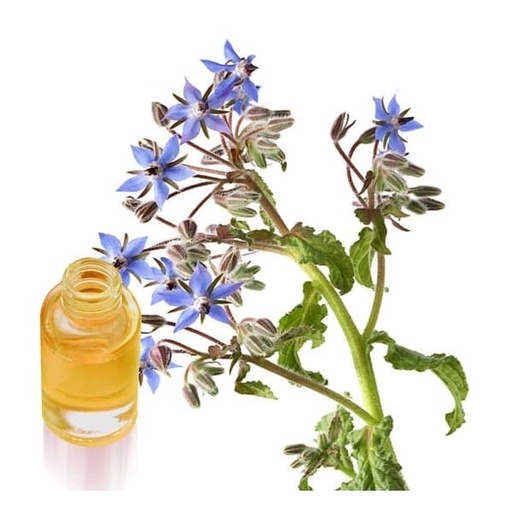 Perlas de aceite de Borraja 110 de 710mg