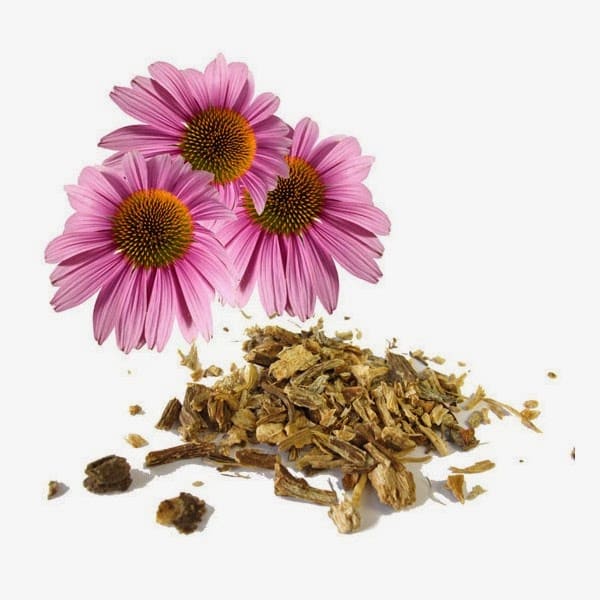 Equinácea 30 cápsulas MEGAPLUS - Antibiótico natural, inmunoestimulante