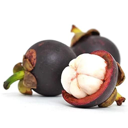 [10279] Mangosteen Plus 60 cápsulas de 750mg